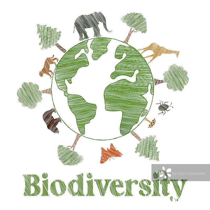 生物多样性概念：野生动物与树木图片素材