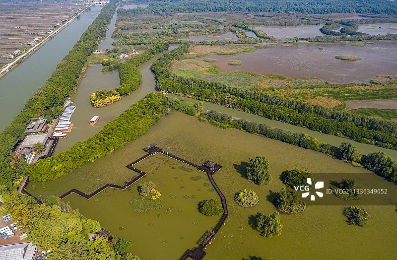 广东省广州南沙湿地公园图片素材