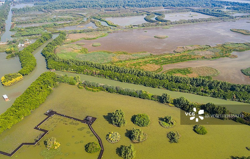 广东省广州南沙湿地公园图片素材