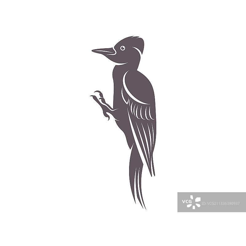 啄木鸟创意鸟类设计图片素材