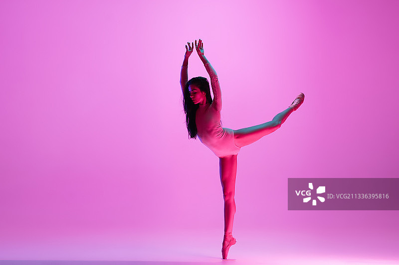 在粉色演播厅背景中跳芭蕾的年轻优雅的芭蕾舞者图片素材