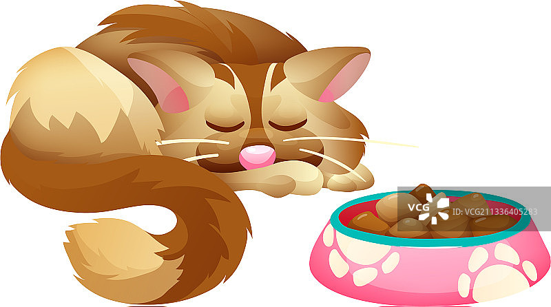 碗里的食物和猫图片素材