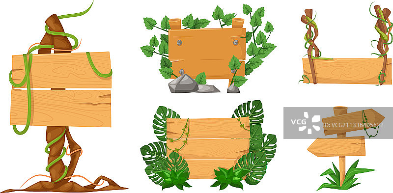 带有藤本树枝的木质banner图片素材