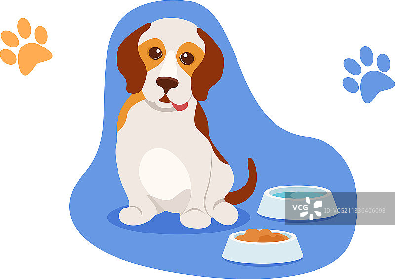 小巧可爱的幼犬坐在水碗旁图片素材