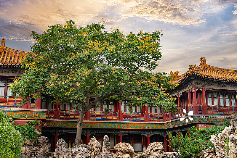 夏日里的故宫御花园养性殿图片素材