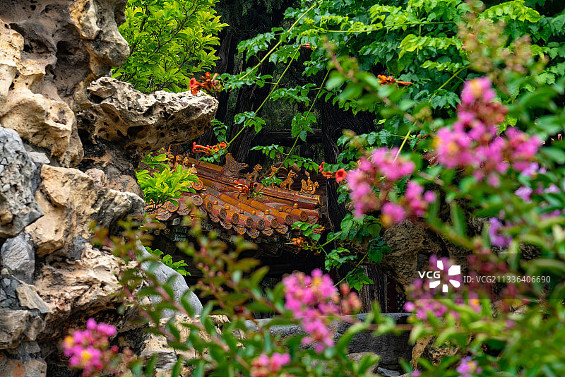 夏日里的故宫御花园图片素材