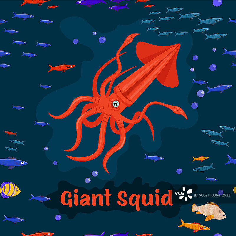 濒危鱼类巨型鱿鱼图片素材