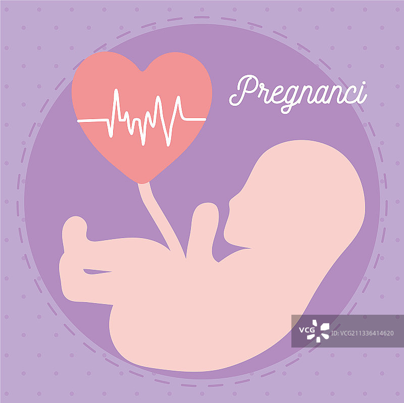 胎儿与心脏图片素材