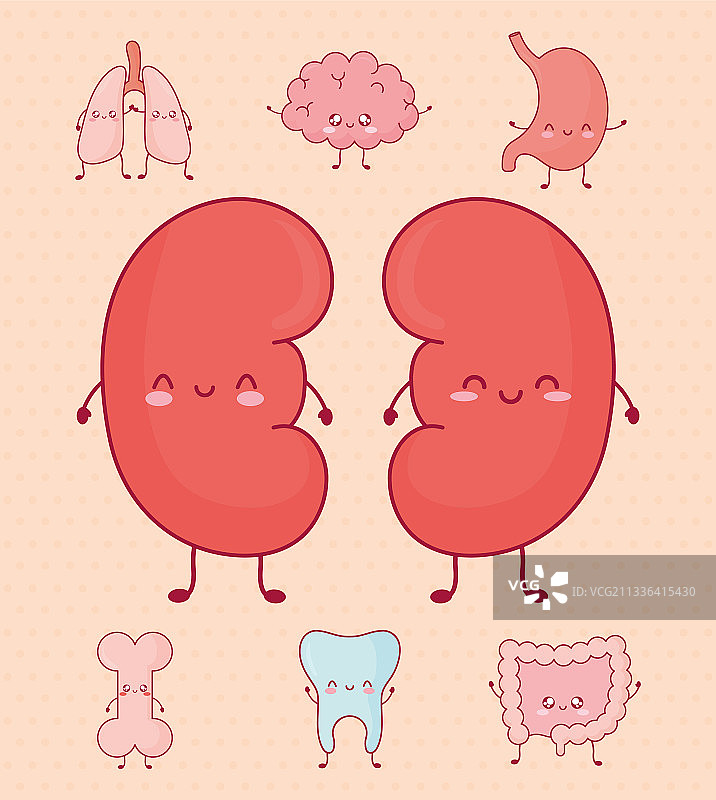 可爱的器官组合图片素材