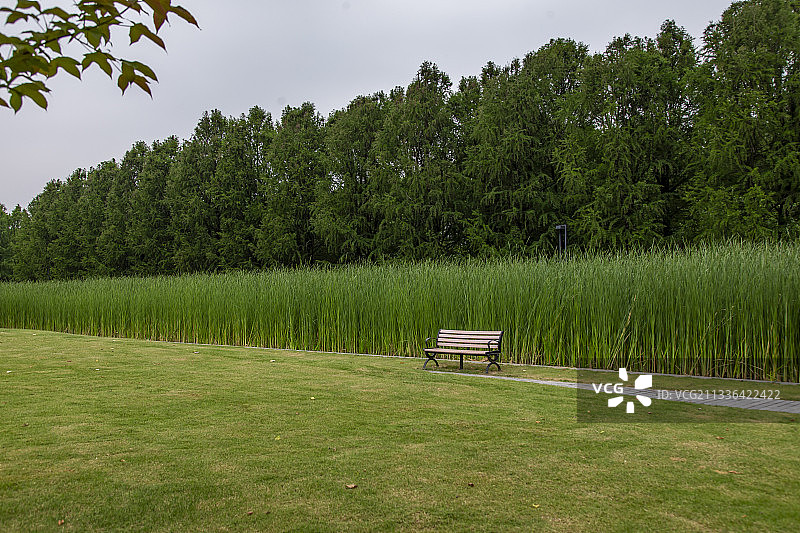 华翔绿地公园香蒲田前一个孤独的长椅图片素材