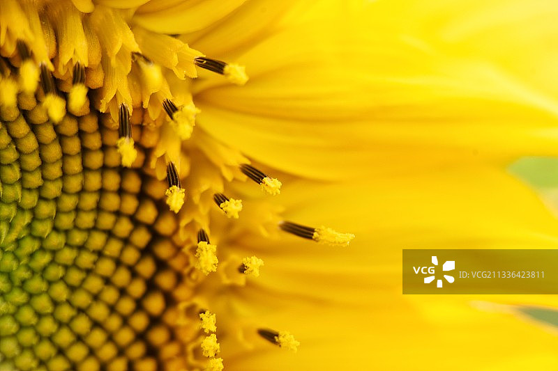 《接收太阳能》图片素材