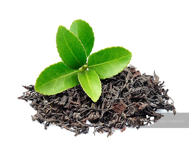 白色背景植物特写图片素材