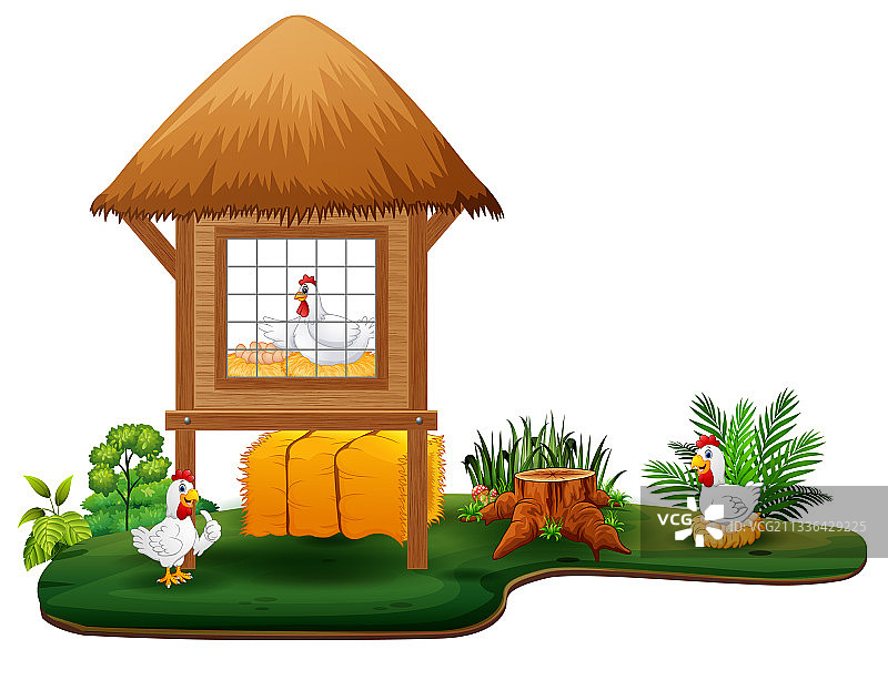 白色背景上的鸡和鸡舍图片素材