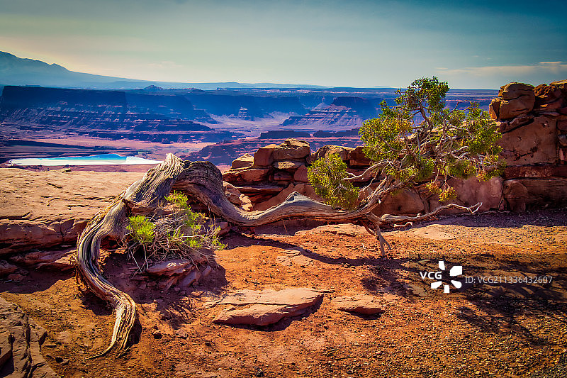 美国犹他州摩押的风景图片素材