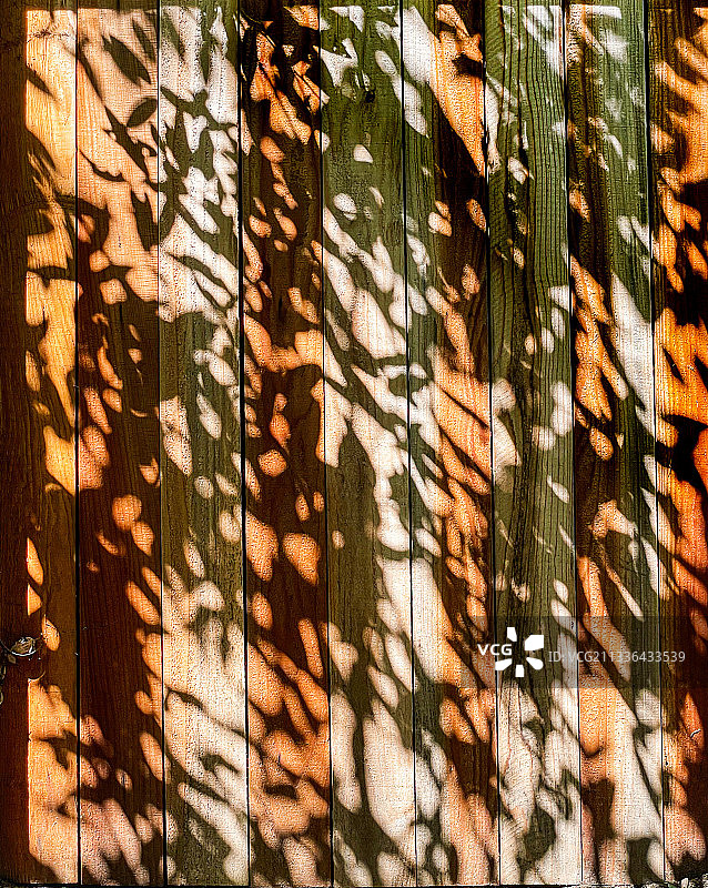 木板上的树叶阴影，美国加利福尼亚州阿尔塔迪纳图片素材