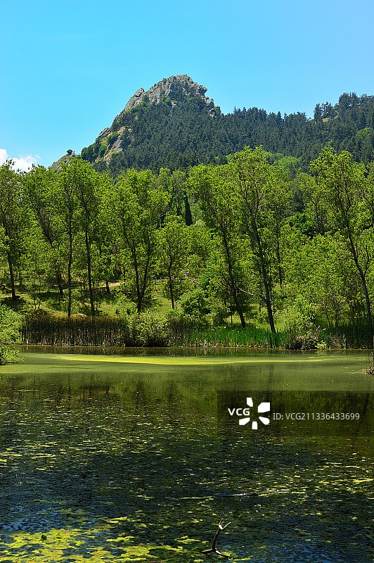 蓝天树木湖泊风光图片素材