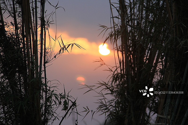 日落时分尼泊尔Ghalegaun的树木剪影图片素材