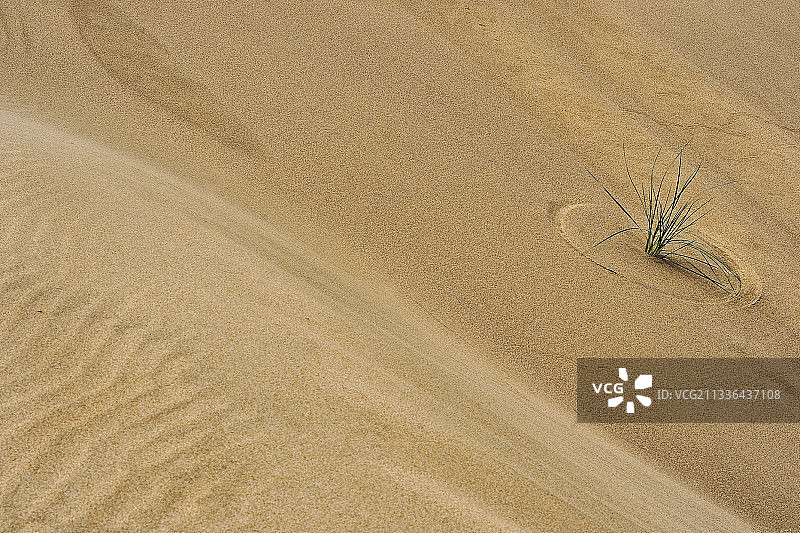 沙滩上的沙子高角度视图图片素材