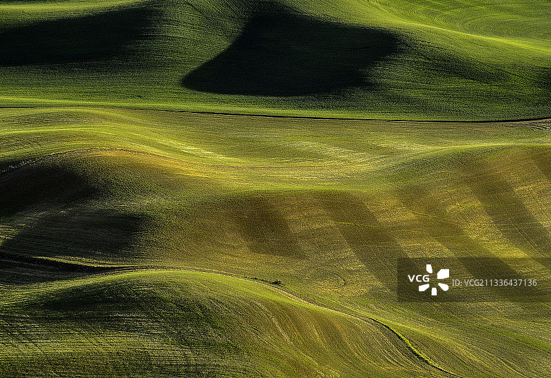 华盛顿州科尔法克斯农业田地高角度景观图片素材