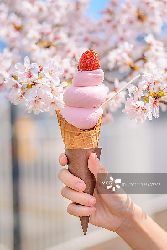 女子在樱花背景下手持冰淇淋图片素材