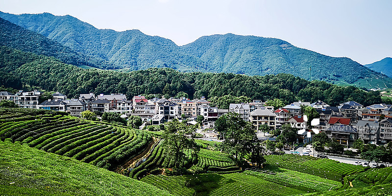 杭州龙坞镇西山森林公园图片素材