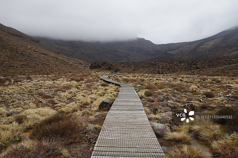 天空下的田野空木板路图片素材