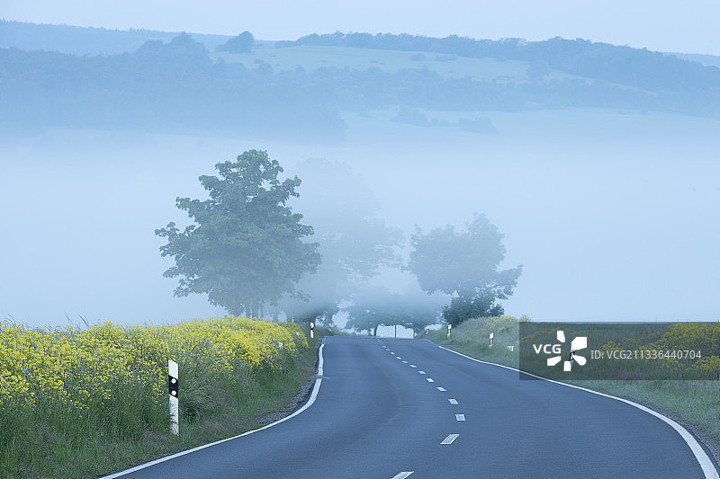 德国的树木中的空旷道路图片素材