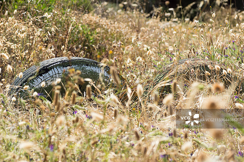 西班牙巴利阿里群岛田野里的旧轮胎特写图片素材