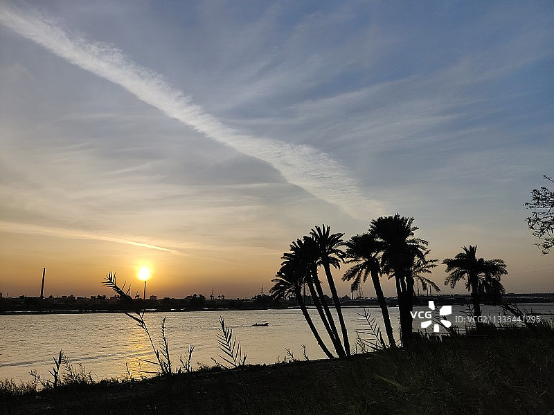 埃及日落时分的海边树木剪影图片素材