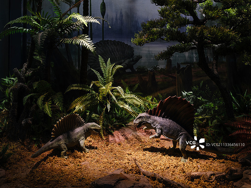 浙江自然博物院(安吉馆)图片素材