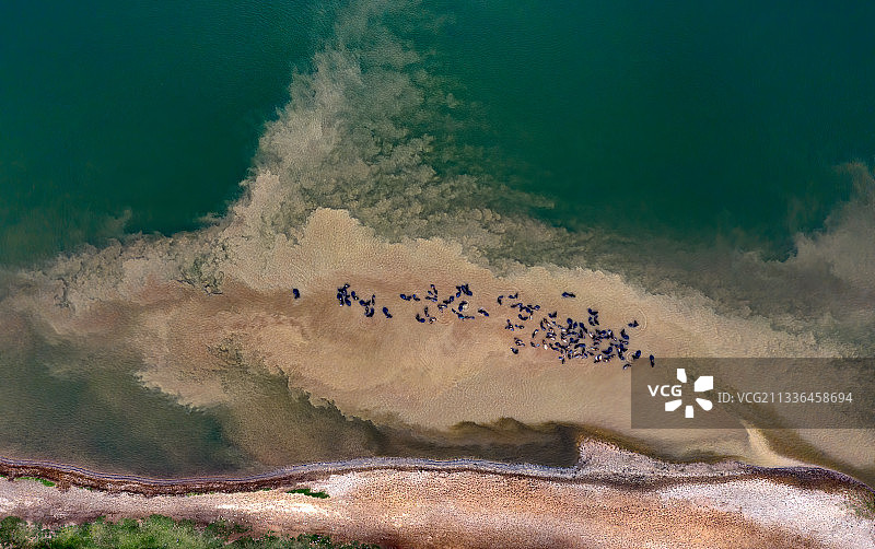 湿地生态图片素材