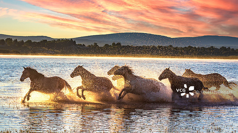 马踏水花图片素材