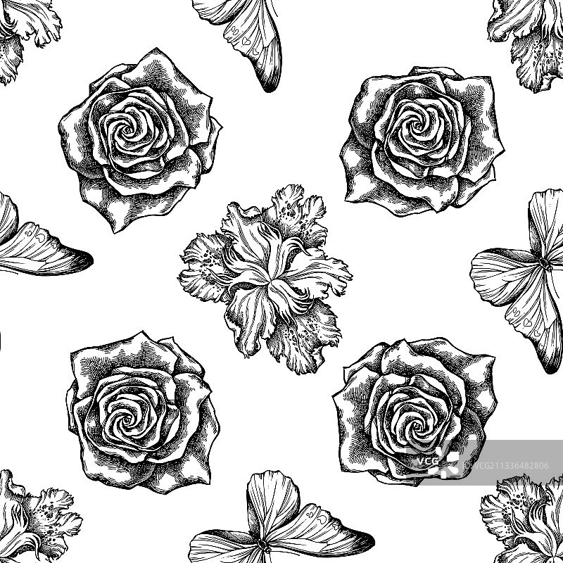 黑白鸢尾花无缝图案图片素材