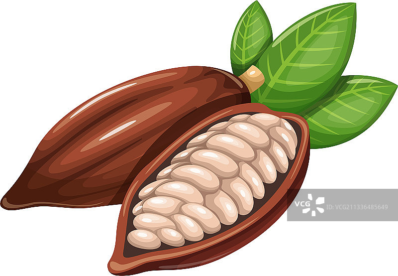 可可豆图标图片素材