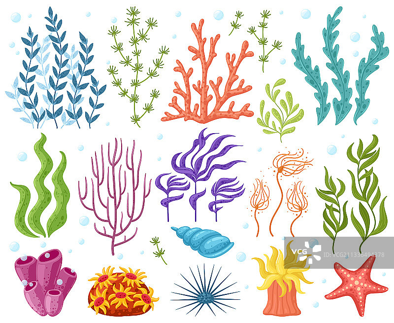 卡通海洋植物：海葵、珊瑚和海藻图片素材