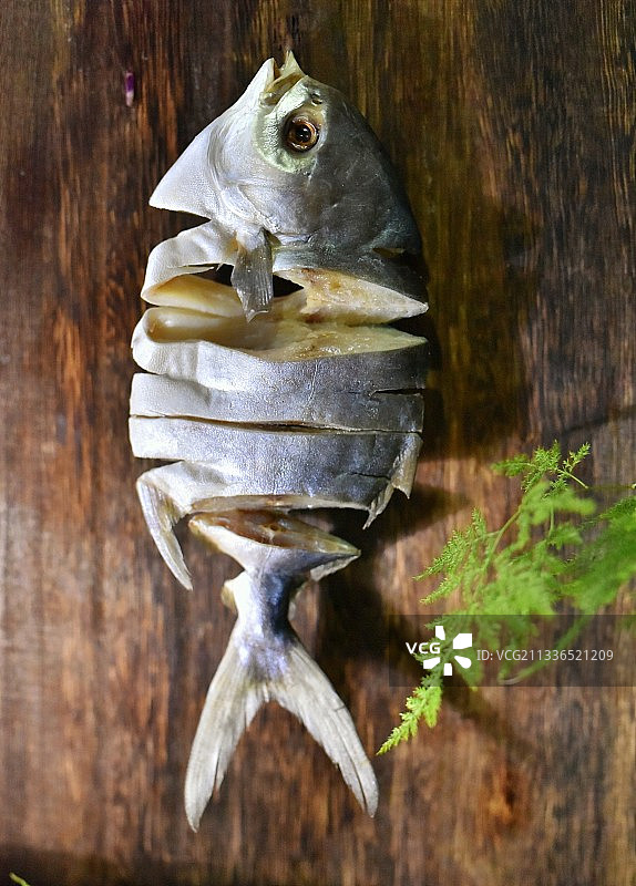 金鲳鱼图片素材