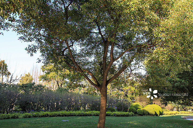 上海宋庆龄陵园：一角图片素材