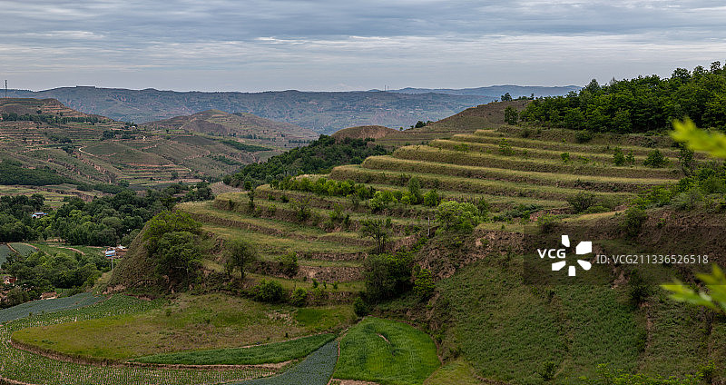 夏天碧绿满山坡的黄土高原图片素材