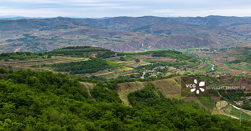 夏天碧绿满山坡的黄土高原图片素材