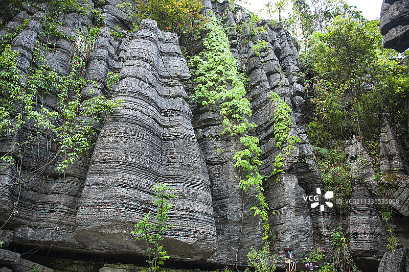 湖北：恩施梭布垭石林风光图片素材