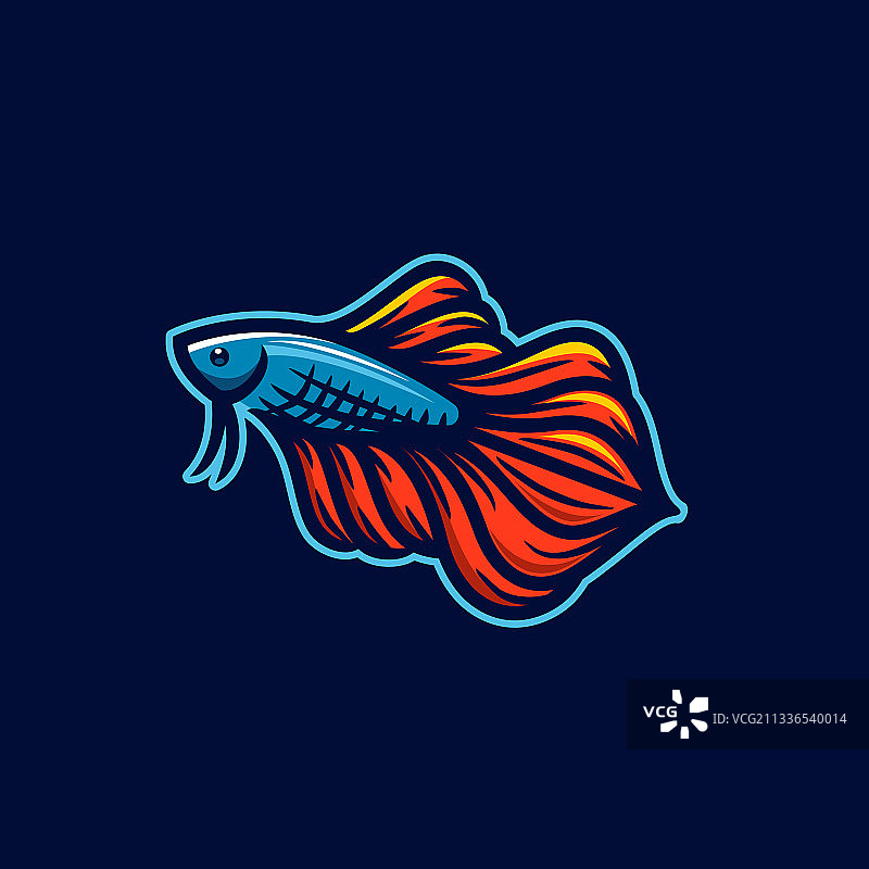 美丽的红色和蓝色斗鱼或孔雀鱼标志图片素材