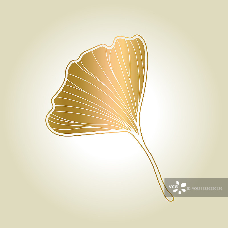 银杏叶墨线印花图片素材