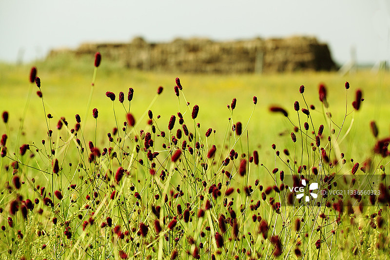 内蒙古锡林郭勒 元上都遗址图片素材