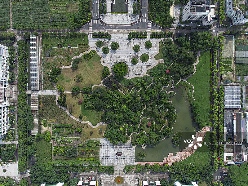 福建农林大学中华园图片素材