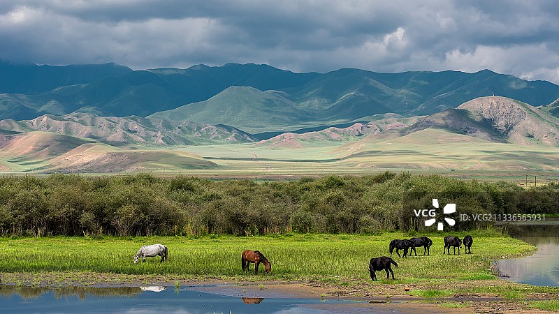 桑科草原湿地图片素材