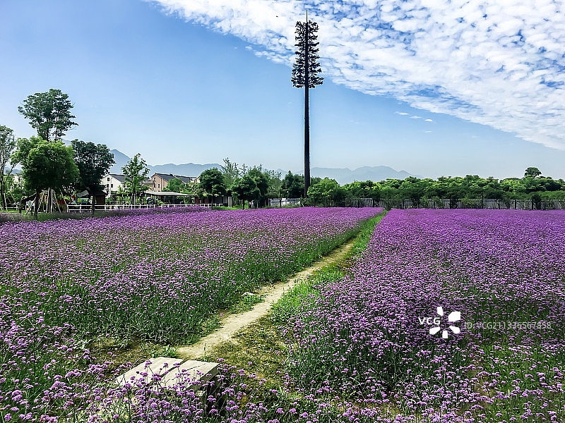 杭州荻浦村图片素材