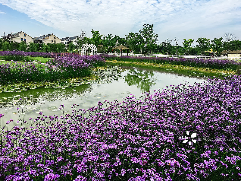 杭州荻浦村图片素材