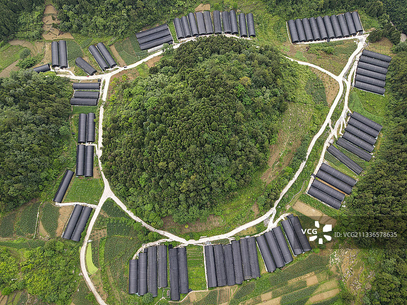 贵州省遵义市道真仡佬族苗族自治县食用菌大棚图片素材