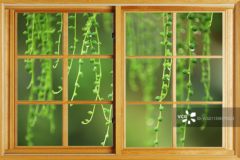 窗外桃花图片素材