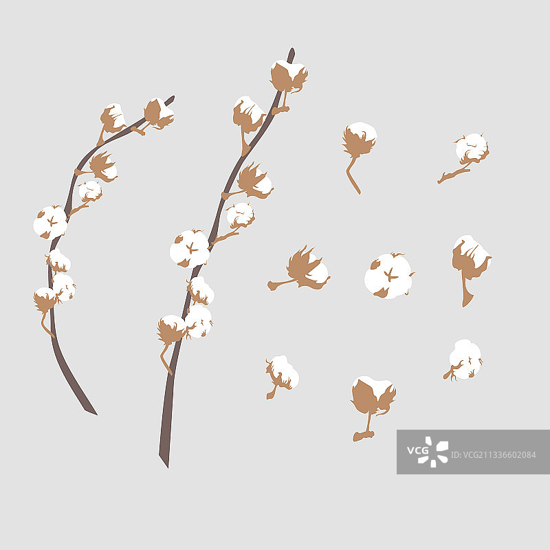 手绘粉彩风干棉花优雅剪贴画套装图片素材